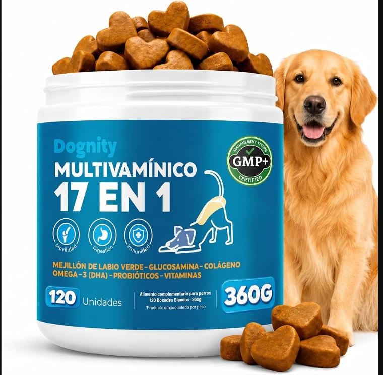 Dognity — Soporte Calmante