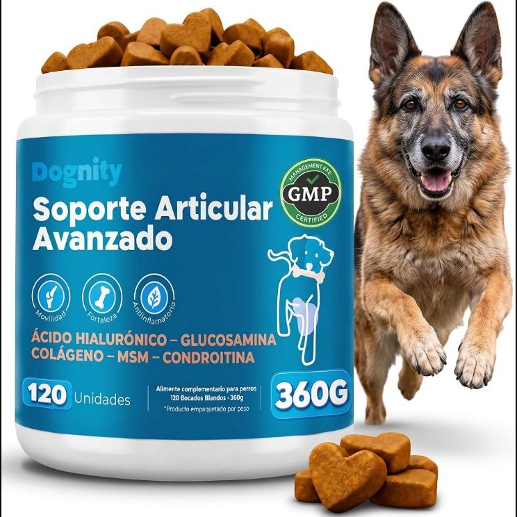 Dognity — Soporte Articular Avanzado