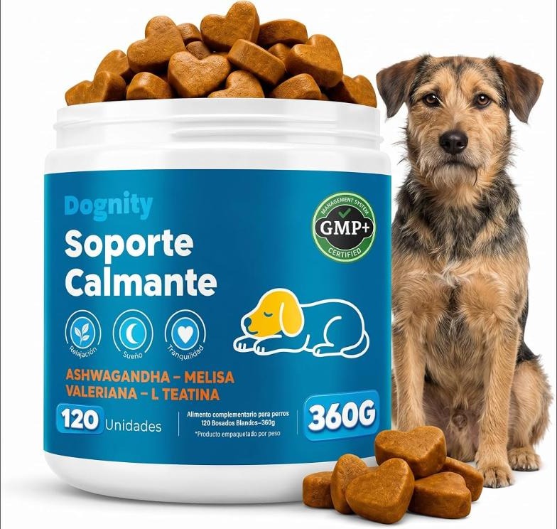 Dognity — Multivitamínico 17 en 1